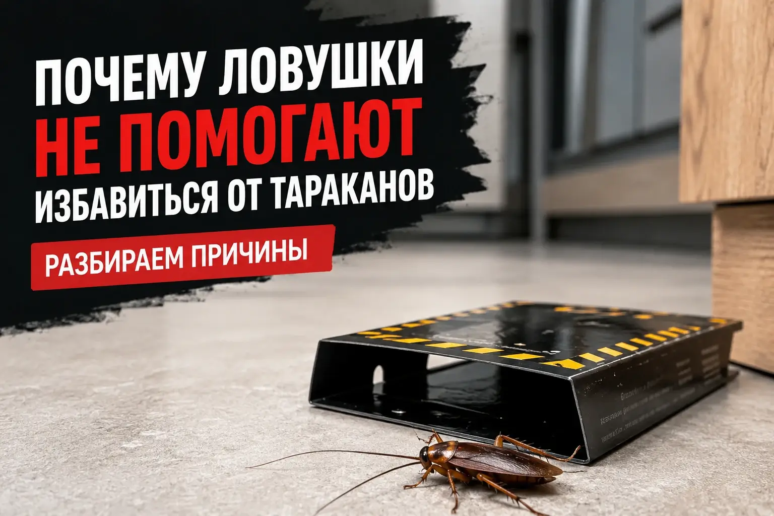 Почему ловушки не помогают избавиться от тараканов